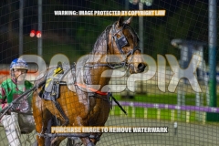 2026_PACEPIX_GP09102026_RACE7_TheBeaudster_WIN_WEB-16