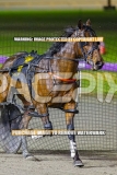 2026_PACEPIX_GP09102026_RACE7_TheBeaudster_WIN_WEB-9
