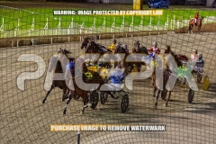 RACE 7 - The Bettor Side
