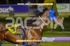 2026_PACEPIX_GP30102026_RACE7_TheBettorSide_WIN_WEB-10