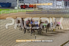 2026_PACEPIX_GP30102026_RACE7_TheBettorSide_WIN_WEB-23