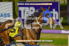 2026_PACEPIX_GP30102026_RACE7_TheBettorSide_WIN_WEB-28