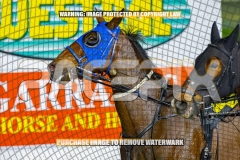 2026_PACEPIX_GP30102026_RACE7_TheBettorSide_WIN_WEB-30