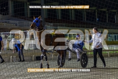 2026_PACEPIX_GP30102026_RACE7_TheBettorSide_WIN_WEB-31