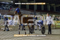 2026_PACEPIX_GP30102026_RACE7_TheBettorSide_WIN_WEB-32