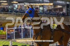 2026_PACEPIX_GP30102026_RACE7_TheBettorSide_WIN_WEB-33