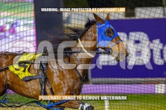 2026_PACEPIX_GP30102026_RACE7_TheBettorSide_WIN_WEB-9