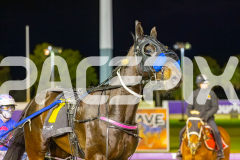 2025_PACEPIX_GP07102025_RACE7_TheFinalOffer_WIN_WEB-14