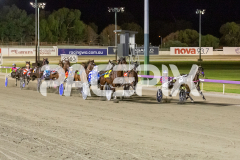 The-Swindler_13-03-2026_WIN_Gloucester-Park_7__02