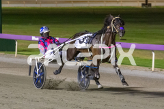 The-Swindler_13-03-2026_WIN_Gloucester-Park_7__03