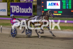 The-Swindler_13-03-2026_WIN_Gloucester-Park_7__05