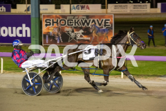 The-Swindler_13-03-2026_WIN_Gloucester-Park_7__06