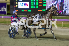 The-Swindler_13-03-2026_WIN_Gloucester-Park_7__10