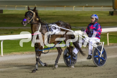 The-Swindler_13-03-2026_WIN_Gloucester-Park_7__11