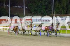 2025_PACEPIX_GP31122025_RACE7_TheSwindler_WIN_WEB-1