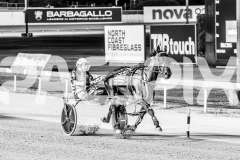 2025_PACEPIX_GP31122025_RACE7_TheSwindler_WIN_WEB-13