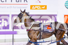 2025_PACEPIX_GP31122025_RACE7_TheSwindler_WIN_WEB-18