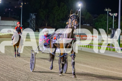 2025_PACEPIX_GP31122025_RACE7_TheSwindler_WIN_WEB-22