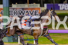 2025_PACEPIX_GP31122025_RACE7_TheSwindler_WIN_WEB-4