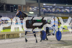 RACE 7 - The Wildcard