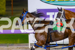 2026_PACEPIX_GP02012026_RACE7_TheWildcard_WIN_WEB-14