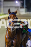 2026_PACEPIX_GP02012026_RACE7_TheWildcard_WIN_WEB-16