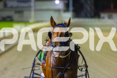 2026_PACEPIX_GP02012026_RACE7_TheWildcard_WIN_WEB-17
