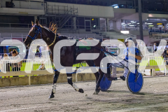 2026_PACEPIX_GP02012026_RACE7_TheWildcard_WIN_WEB-19