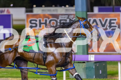 2026_PACEPIX_GP02012026_RACE7_TheWildcard_WIN_WEB-3