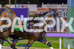 2026_PACEPIX_GP02012026_RACE7_TheWildcard_WIN_WEB-5