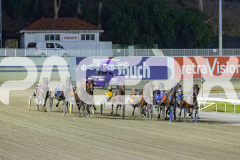 2026_PACEPIX_GP02012026_RACE7_TheWildcard_WIN_WEB-6