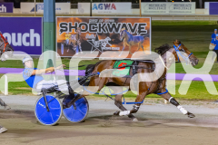 2026_PACEPIX_GP02012026_RACE7_TheWildcard_WIN_WEB-9