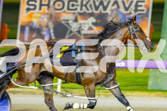 2026_PACEPIX_GP20032026_RACE7_TheWildcard_WIN_WEB-8