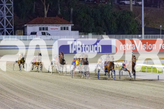 2025_PACEPIX_GP26122025_RACE7_TheWildcard_WIN_WEB-1