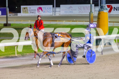 2025_PACEPIX_GP26122025_RACE7_TheWildcard_WIN_WEB-11