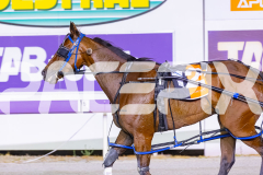 2025_PACEPIX_GP26122025_RACE7_TheWildcard_WIN_WEB-13