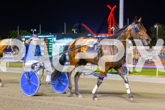 2025_PACEPIX_GP26122025_RACE7_TheWildcard_WIN_WEB-15