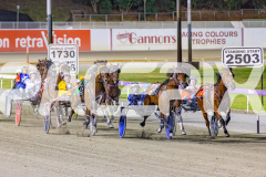 2025_PACEPIX_GP26122025_RACE7_TheWildcard_WIN_WEB-2