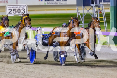 2025_PACEPIX_GP26122025_RACE7_TheWildcard_WIN_WEB-3