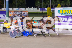 2025_PACEPIX_GP26122025_RACE7_TheWildcard_WIN_WEB-7