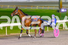 2025_PACEPIX_GP22082025_Race7_ThenuCameAlong_WIN_WEB-13