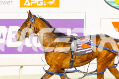 2025_PACEPIX_GP22082025_Race7_ThenuCameAlong_WIN_WEB-14