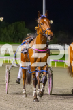 2025_PACEPIX_GP22082025_Race7_ThenuCameAlong_WIN_WEB-18