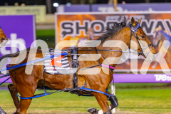 2025_PACEPIX_GP22082025_Race7_ThenuCameAlong_WIN_WEB-3
