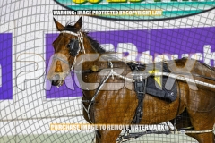 2026_PACEPIX_GP06102026_Race7_TrecherousPrince_WIN_WEB-10