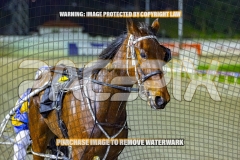 2026_PACEPIX_GP06102026_Race7_TrecherousPrince_WIN_WEB-12