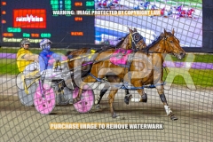 RACE 7 - Troubadour