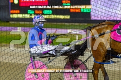 2026_PACEPIX_GP13102026_RACE7_Troubadour_WIN_WEB-6