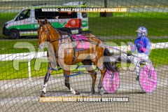 2026_PACEPIX_GP13102026_RACE7_Troubadour_WIN_WEB-7