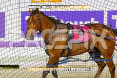 2026_PACEPIX_GP13102026_RACE7_Troubadour_WIN_WEB-8